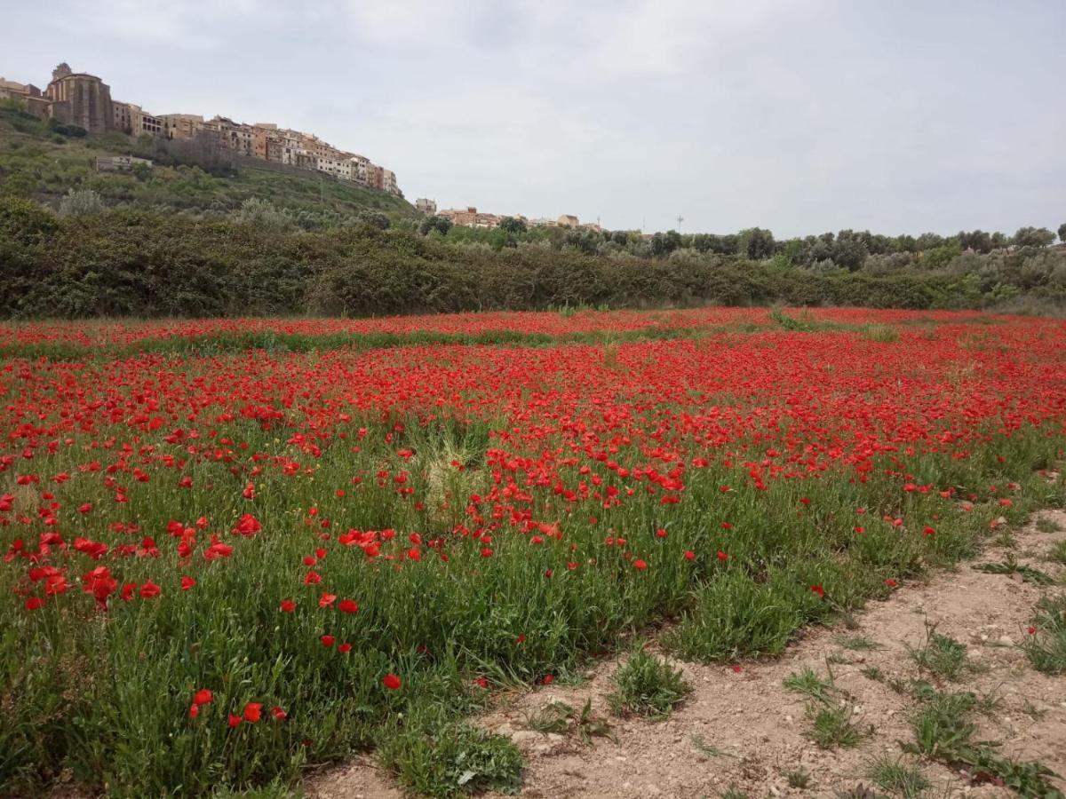 Els Ports D'Horta Apartment ออร์ตา เด ซาน ฮวน ภายนอก รูปภาพ